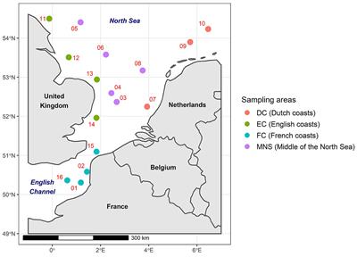 Monitoring indicator genes to assess antimicrobial resistance contamination in phytoplankton and zooplankton communities from the English Channel and the North Sea